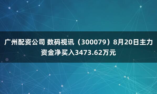 广州配资公司 数码视讯（300079）8月20日主力资金净买入3473.62万元